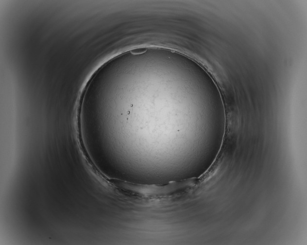 X0000096691530200802191418