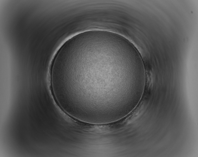 X0000096691531200802191418