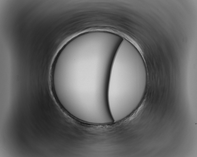 X0000096691533200802191418