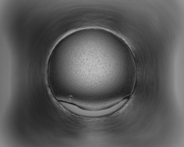 X0000096691534200802191418