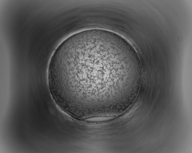 X0000096691535200802191418