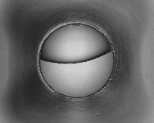 X0000096691536200802191418