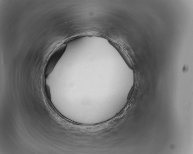 X0000096690001200802261552