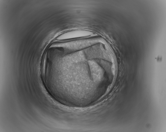 X0000096690002200802261552