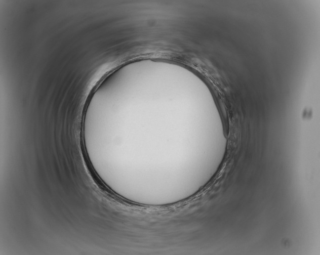 X0000096690003200802261552