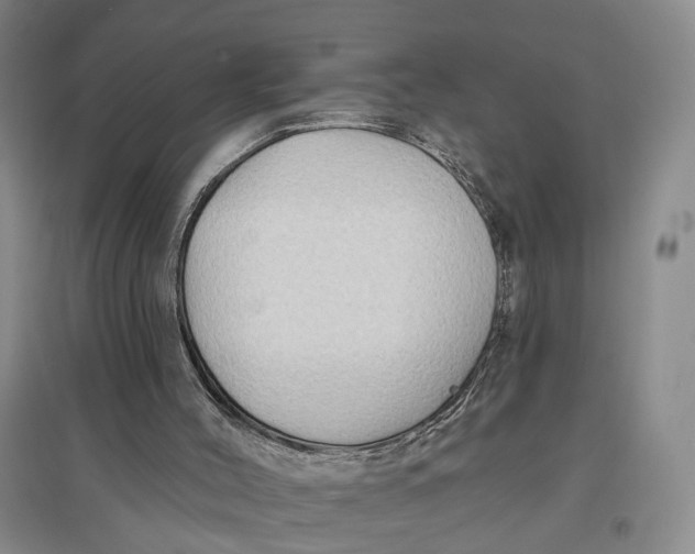 X0000096690004200802261552