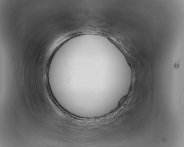 X0000096690005200802261552