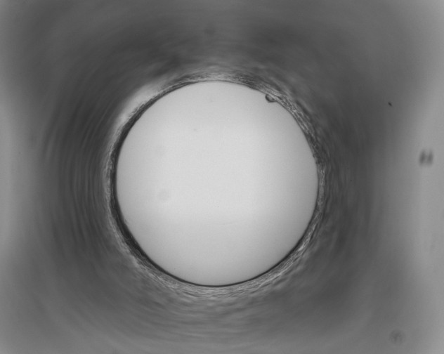 X0000096690006200802261552