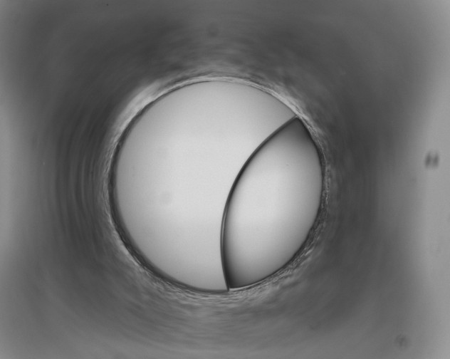 X0000096690007200802261552