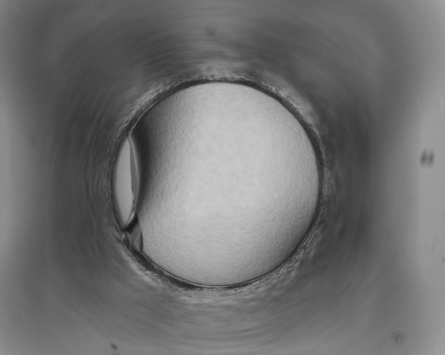 X0000096690009200802261552