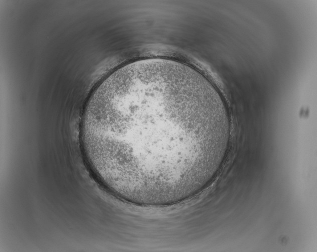 X0000096690010200802261552