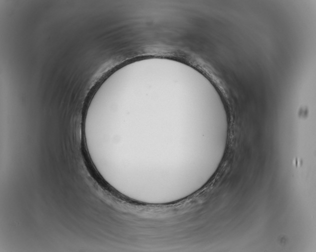 X0000096690011200802261552