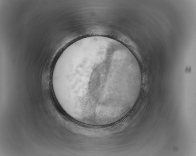 X0000096690012200802261551