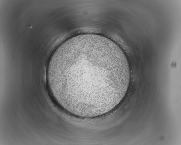 X0000096690014200802261551