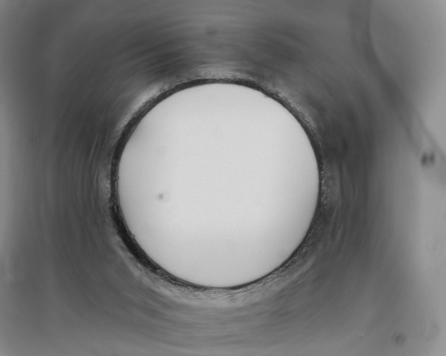 X0000096690015200802261551