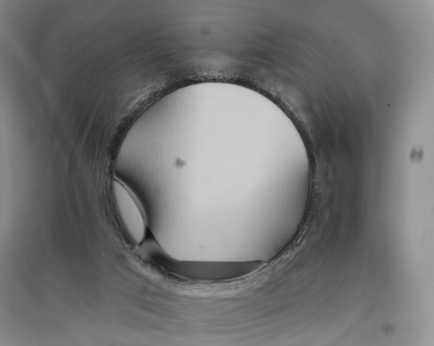 X0000096690017200802261551