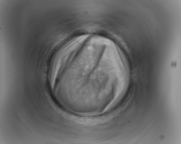 X0000096690018200802261551