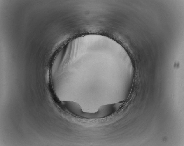 X0000096690019200802261551