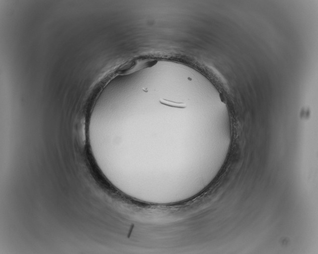 X0000096690020200802261551