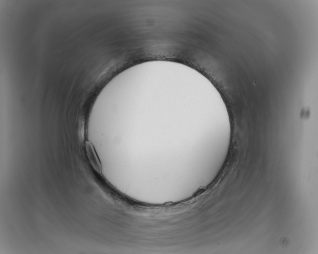 X0000096690021200802261551