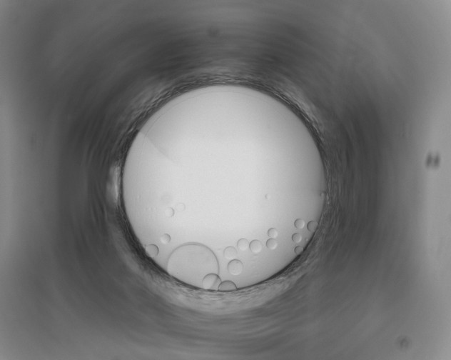 X0000096690022200802261551