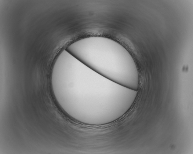 X0000096690023200802261551