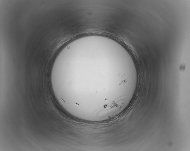 X0000096690024200802261551