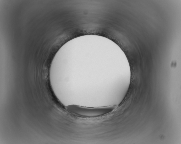 X0000096690025200802261551