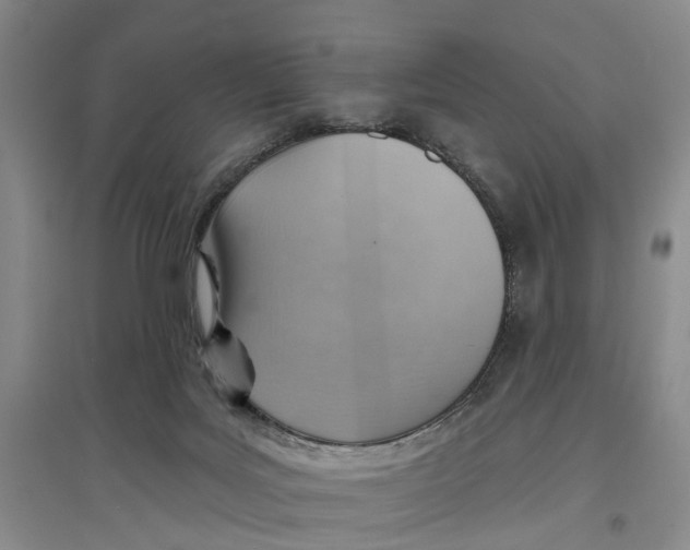 X0000096690027200802261551