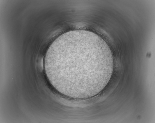 X0000096690028200802261551