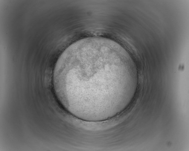 X0000096690030200802261551