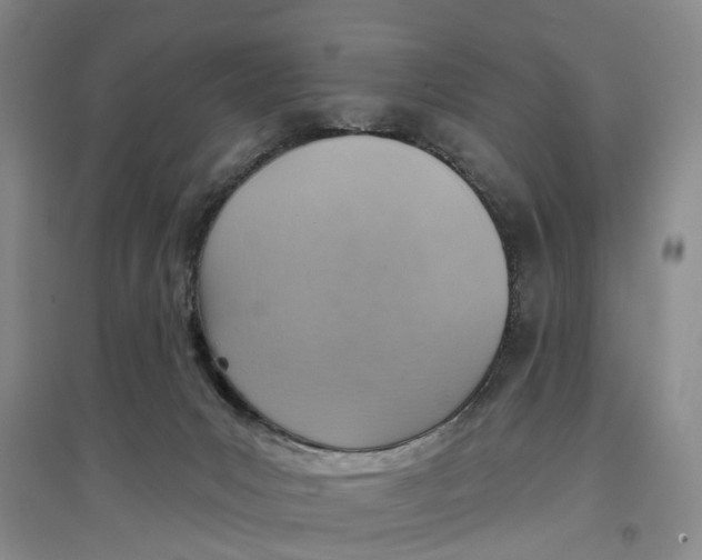 X0000096690031200802261551