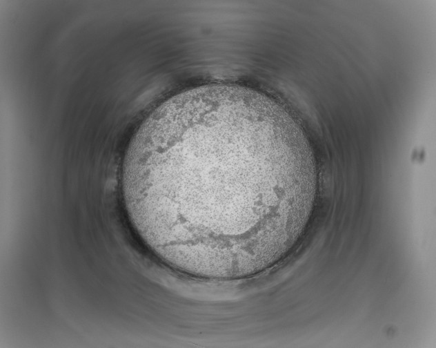 X0000096690032200802261551