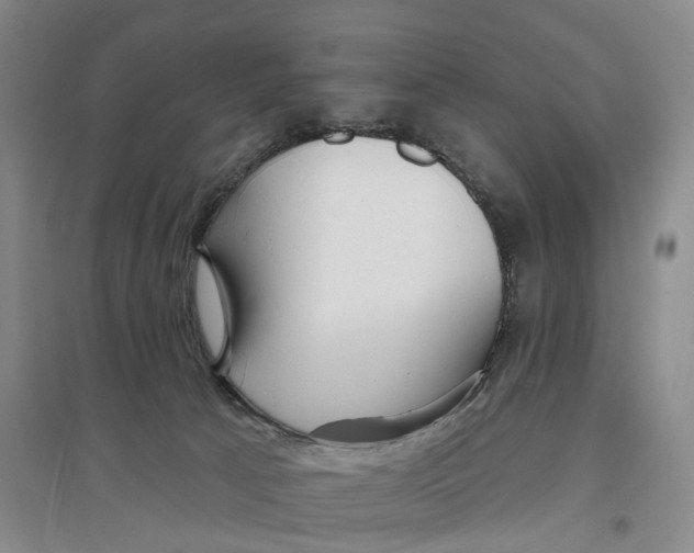 X0000096690033200802261551