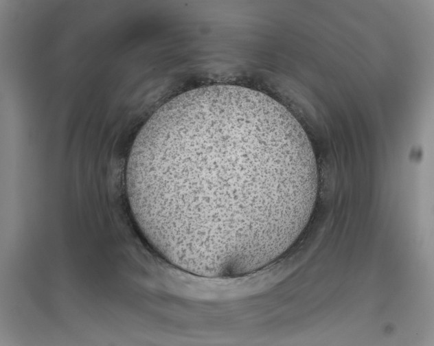 X0000096690034200802261551