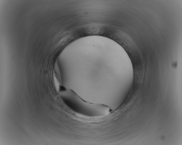 X0000096690035200802261551