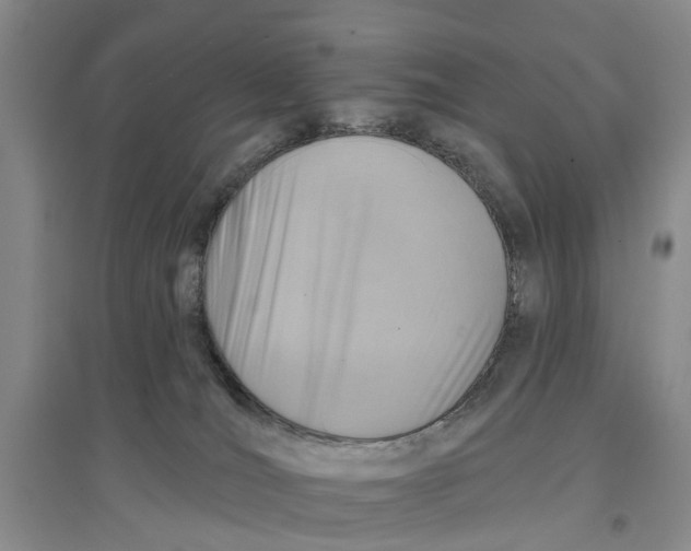 X0000096690036200802261551