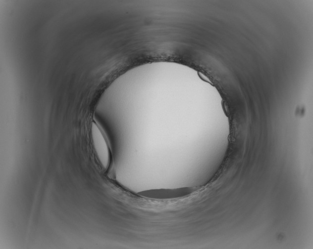 X0000096690037200802261551