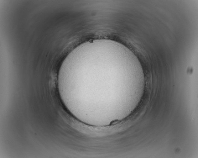 X0000096690038200802261551