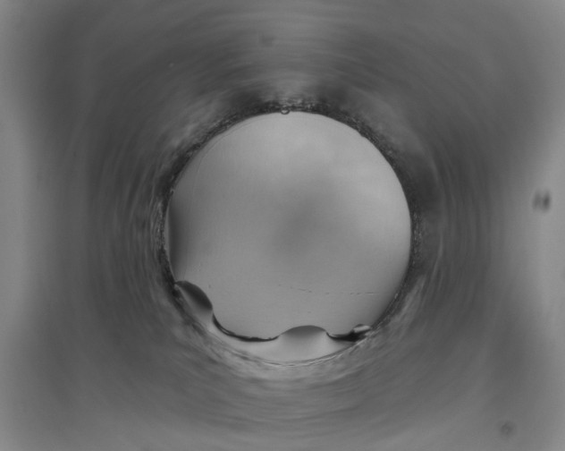 X0000096690039200802261551