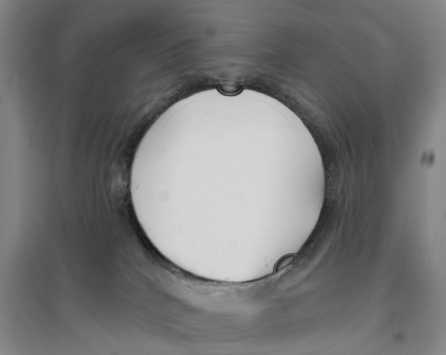 X0000096690040200802261551