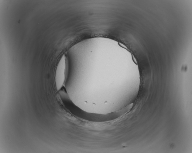 X0000096690041200802261551