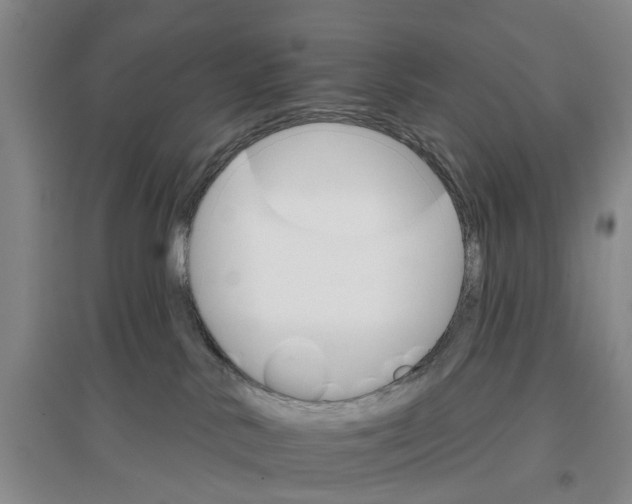 X0000096690042200802261551