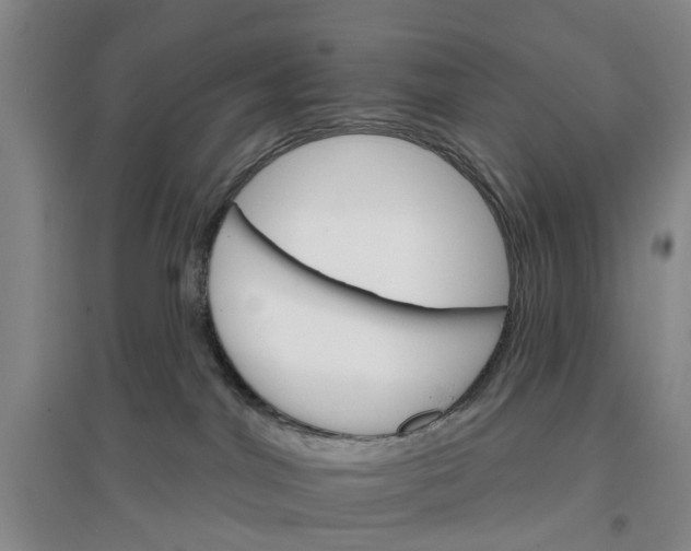 X0000096690044200802261551