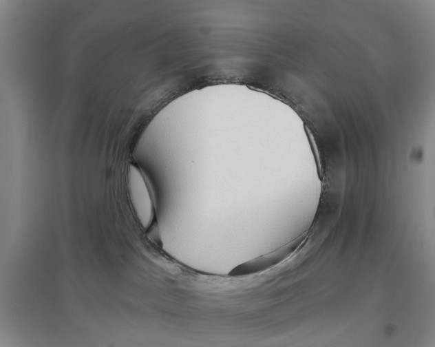 X0000096690045200802261551