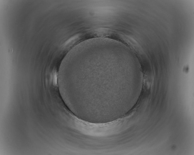 X0000096690046200802261551