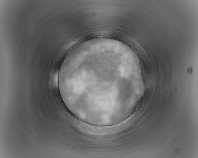 X0000096690047200802261551