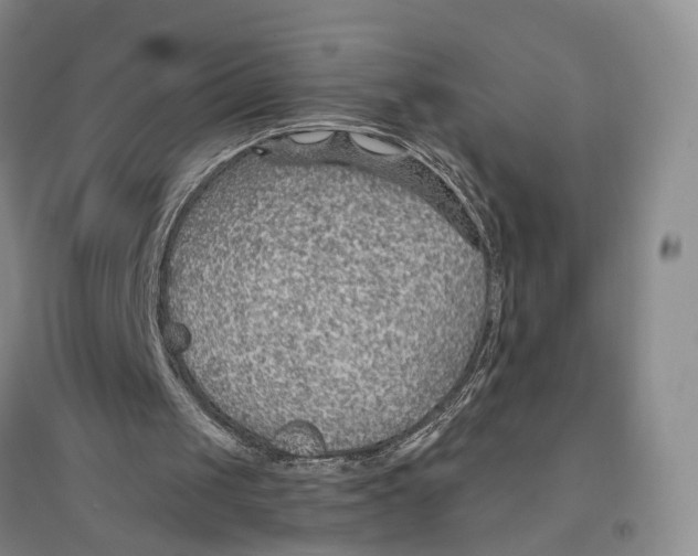 X0000096690049200802261550