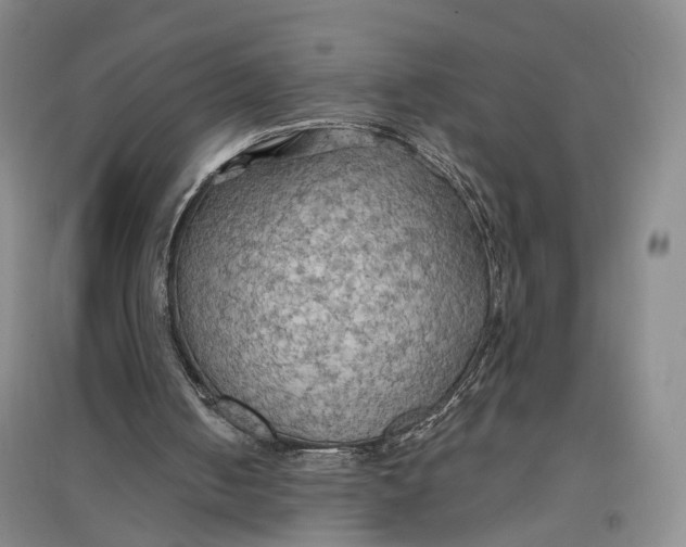 X0000096690050200802261550