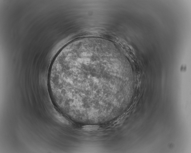 X0000096690051200802261550